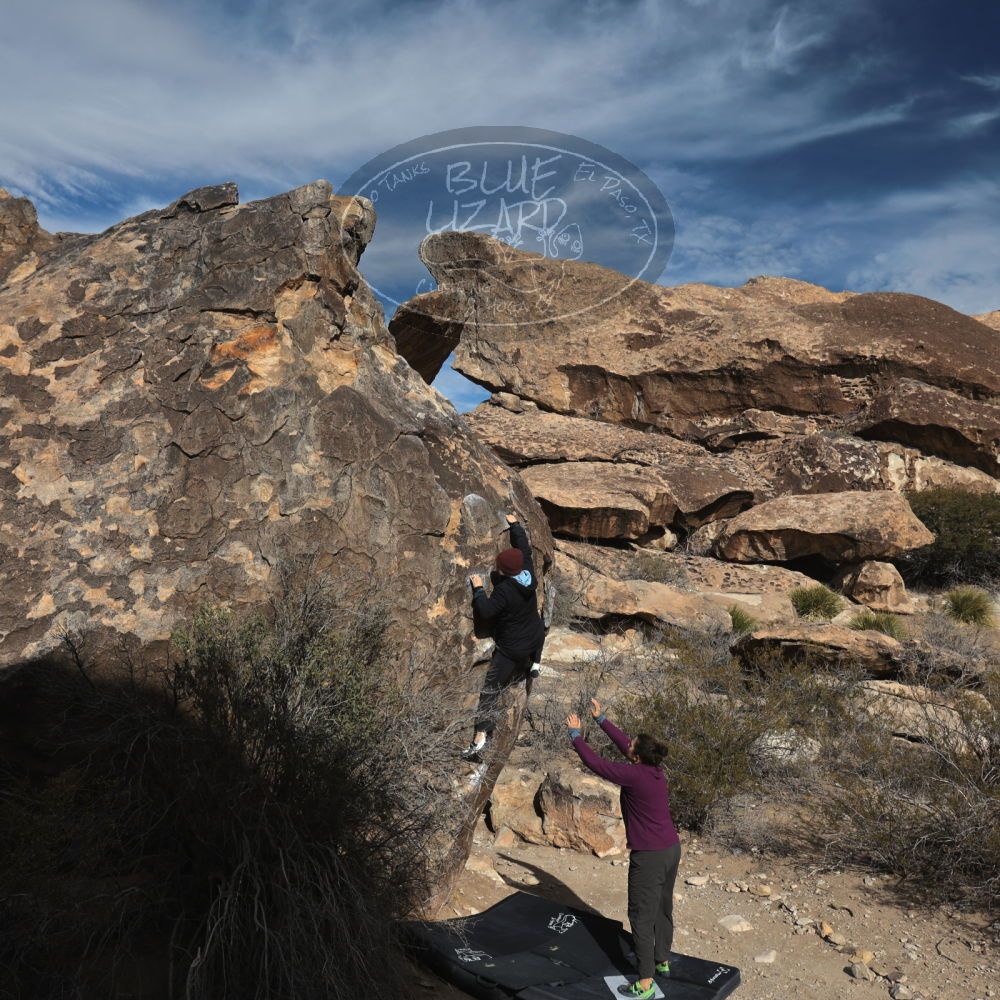 Filename: SRM_20250125_1028340.jpg
Aperture: f/8.0
Shutter Speed: 1/500
Body: Canon EOS R6
Lens: Canon EF 16-35mm f/2.8 L