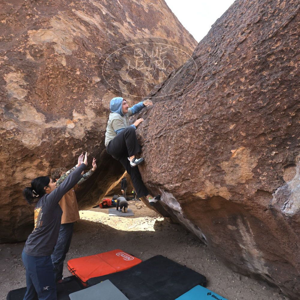 Filename: SRM_20250125_1035280.jpg
Aperture: f/8.0
Shutter Speed: 1/500
Body: Canon EOS R6
Lens: Canon EF 16-35mm f/2.8 L