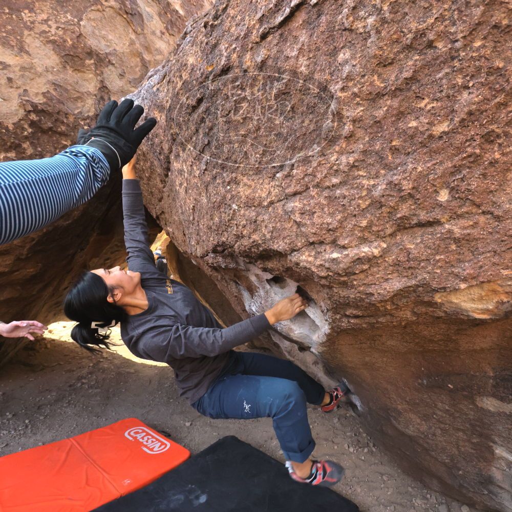 Filename: SRM_20250125_1037560.jpg
Aperture: f/8.0
Shutter Speed: 1/500
Body: Canon EOS R6
Lens: Canon EF 16-35mm f/2.8 L