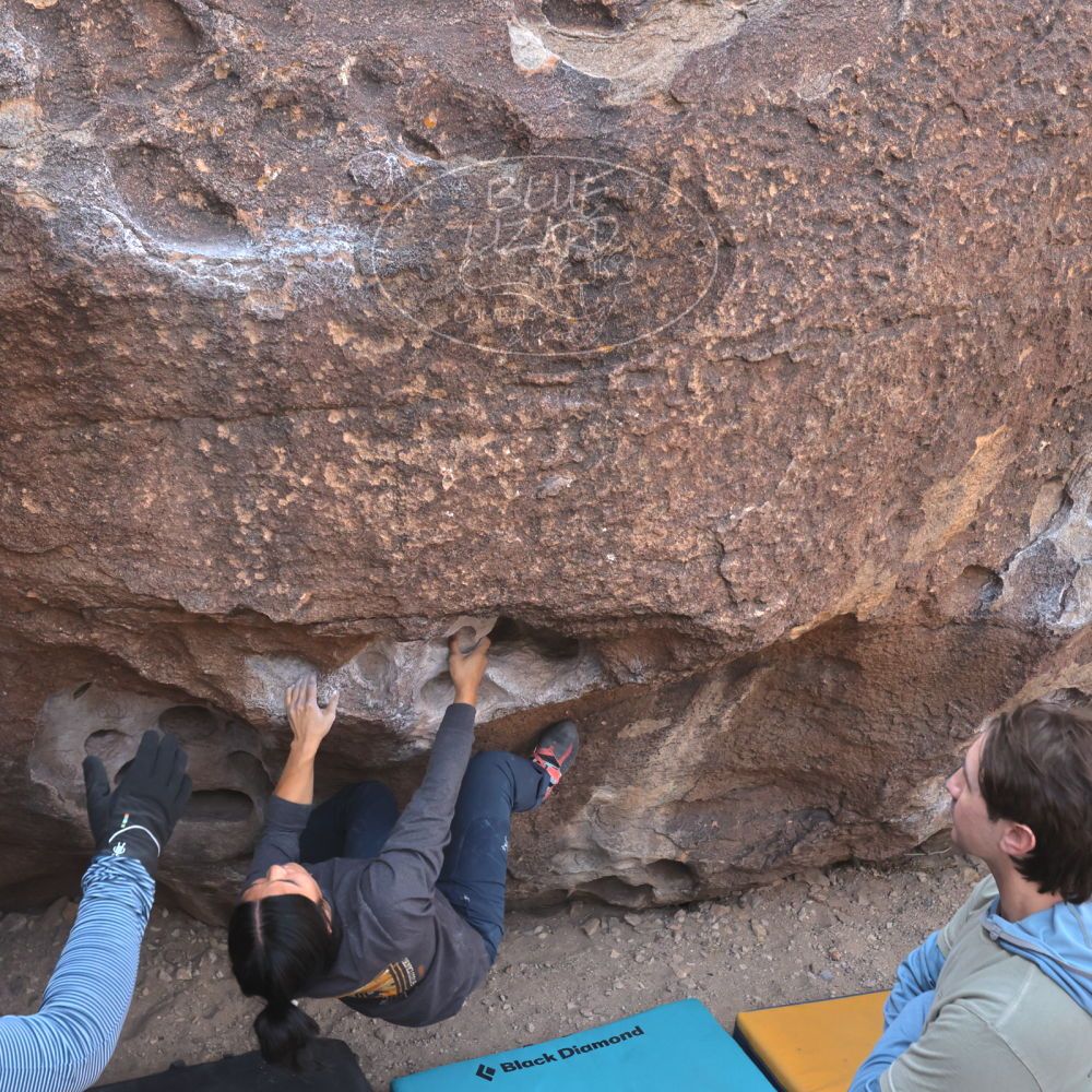 Filename: SRM_20250125_1046240.jpg
Aperture: f/5.6
Shutter Speed: 1/500
Body: Canon EOS R6
Lens: Canon EF 16-35mm f/2.8 L