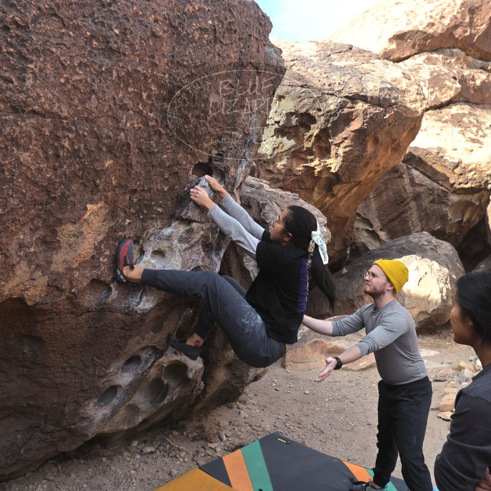 Filename: SRM_20250125_1048010.jpg
Aperture: f/5.6
Shutter Speed: 1/500
Body: Canon EOS R6
Lens: Canon EF 16-35mm f/2.8 L