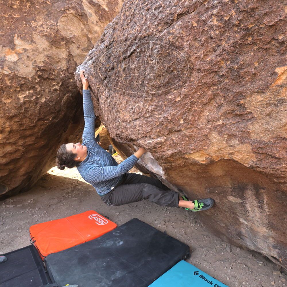 Filename: SRM_20250125_1052410.jpg
Aperture: f/5.6
Shutter Speed: 1/500
Body: Canon EOS R6
Lens: Canon EF 16-35mm f/2.8 L