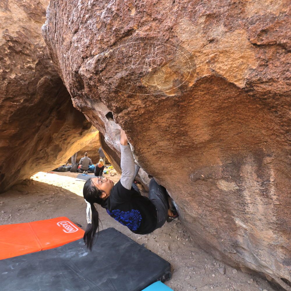 Filename: SRM_20250125_1053170.jpg
Aperture: f/5.6
Shutter Speed: 1/500
Body: Canon EOS R6
Lens: Canon EF 16-35mm f/2.8 L