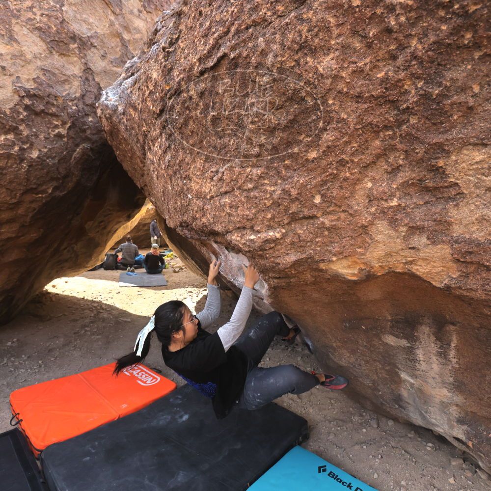 Filename: SRM_20250125_1053300.jpg
Aperture: f/5.6
Shutter Speed: 1/500
Body: Canon EOS R6
Lens: Canon EF 16-35mm f/2.8 L