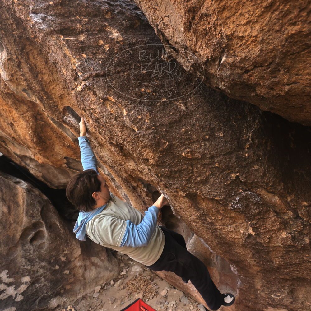 Filename: SRM_20250125_1057020.jpg
Aperture: f/5.6
Shutter Speed: 1/500
Body: Canon EOS R6
Lens: Canon EF 16-35mm f/2.8 L