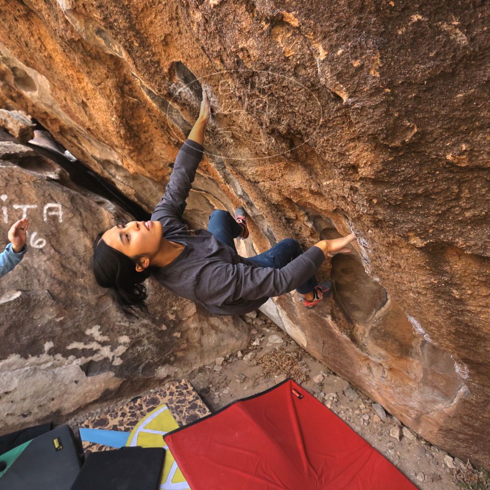 Filename: SRM_20250125_1100410.jpg
Aperture: f/5.6
Shutter Speed: 1/500
Body: Canon EOS R6
Lens: Canon EF 16-35mm f/2.8 L