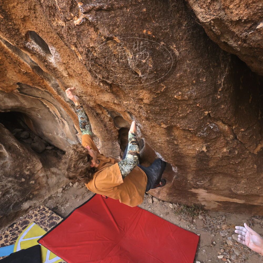 Filename: SRM_20250125_1102430.jpg
Aperture: f/5.6
Shutter Speed: 1/500
Body: Canon EOS R6
Lens: Canon EF 16-35mm f/2.8 L