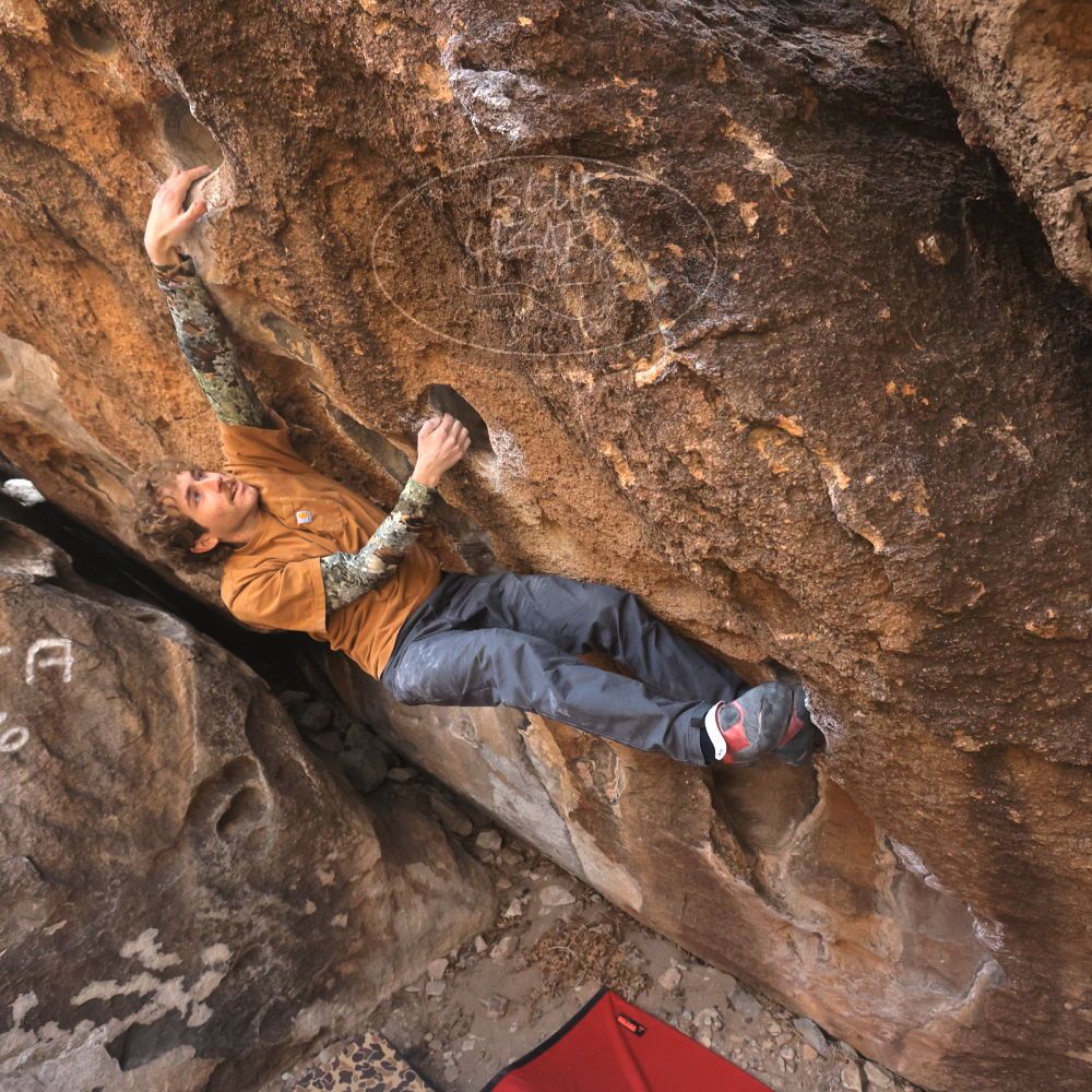 Filename: SRM_20250125_1102490.jpg
Aperture: f/5.6
Shutter Speed: 1/500
Body: Canon EOS R6
Lens: Canon EF 16-35mm f/2.8 L