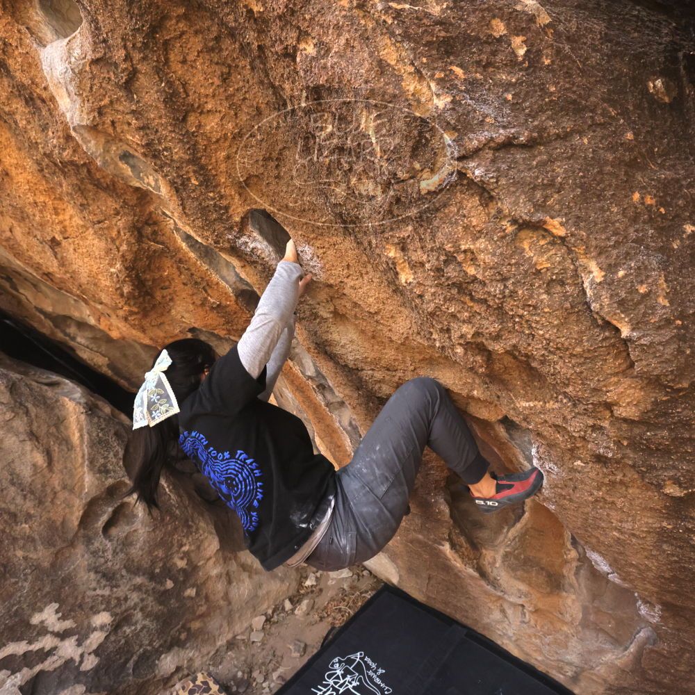 

Filename: SRM_20250125_1104440.jpg
Aperture: f/7.1
Shutter Speed: 1/500
Body: Canon EOS R6
Lens: Canon EF 16-35mm f/2.8 L