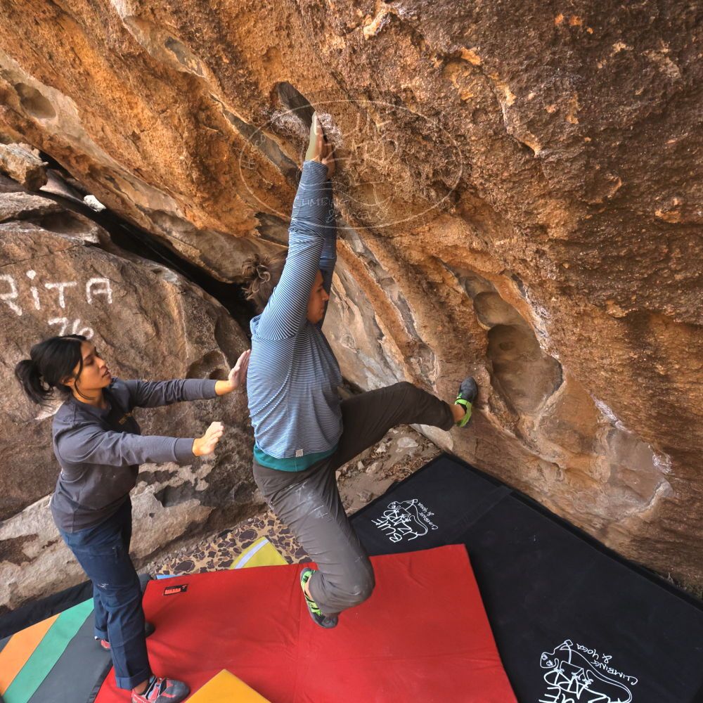 

Filename: SRM_20250125_1106580.jpg
Aperture: f/7.1
Shutter Speed: 1/500
Body: Canon EOS R6
Lens: Canon EF 16-35mm f/2.8 L