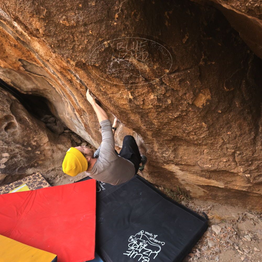 

Filename: SRM_20250125_1108570.jpg
Aperture: f/7.1
Shutter Speed: 1/500
Body: Canon EOS R6
Lens: Canon EF 16-35mm f/2.8 L