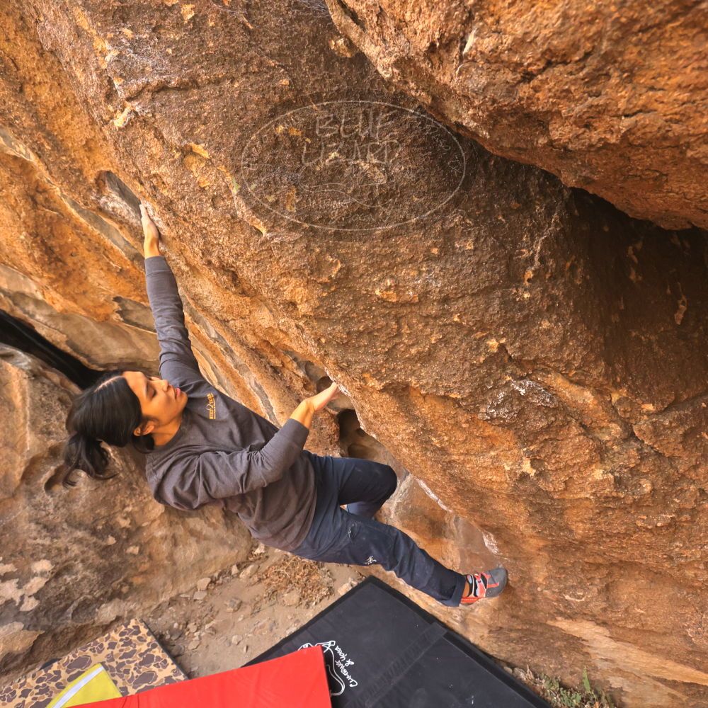 

Filename: SRM_20250125_1111160.jpg
Aperture: f/5.6
Shutter Speed: 1/500
Body: Canon EOS R6
Lens: Canon EF 16-35mm f/2.8 L