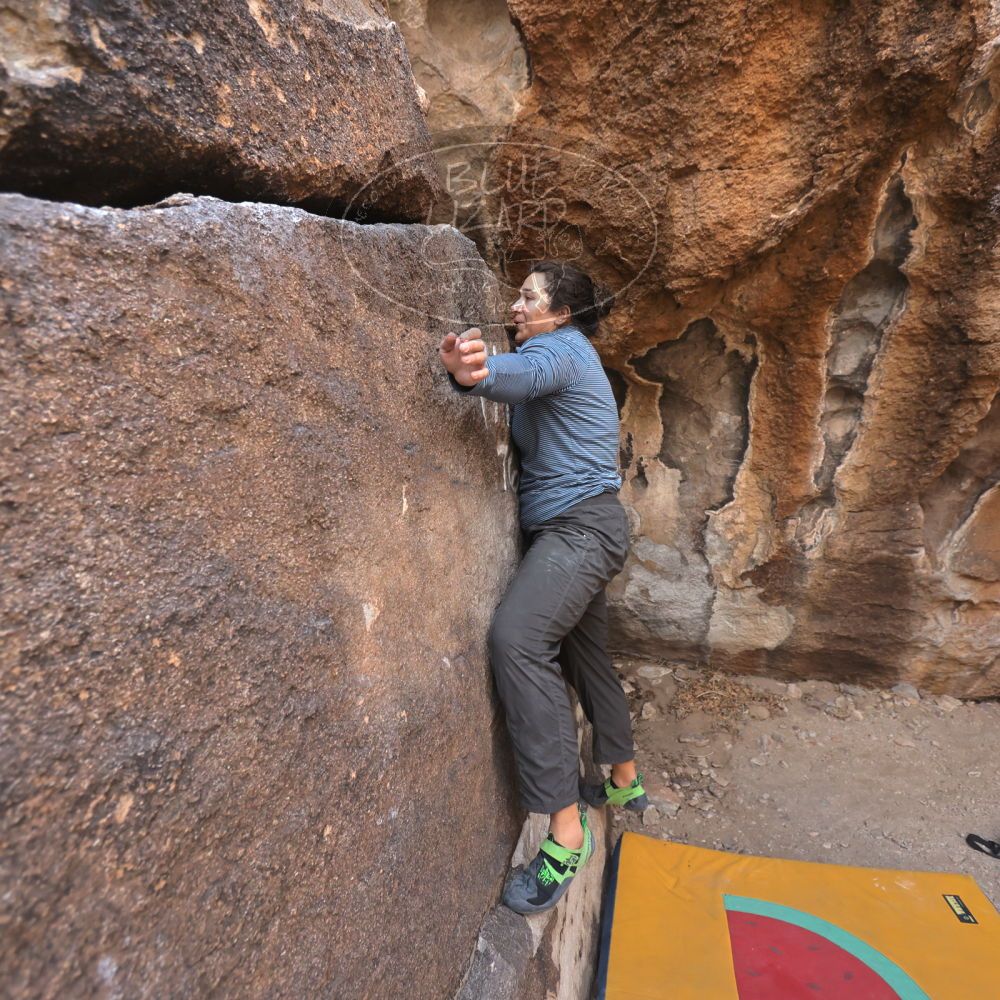 Filename: SRM_20250125_1121050.jpg
Aperture: f/4.0
Shutter Speed: 1/500
Body: Canon EOS R6
Lens: Canon EF 16-35mm f/2.8 L