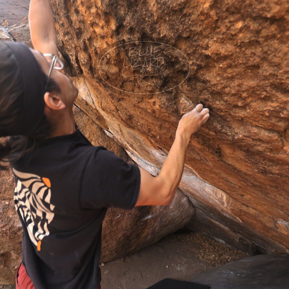 Filename: SRM_20250125_1213521.jpg
Aperture: f/4.0
Shutter Speed: 1/500
Body: Canon EOS R6
Lens: Canon EF 16-35mm f/2.8 L