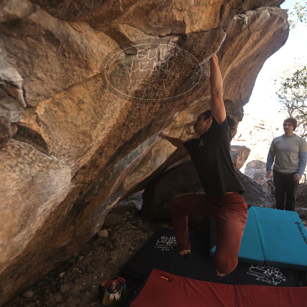 Filename: SRM_20250125_1320583.jpg
Aperture: f/4.0
Shutter Speed: 1/500
Body: Canon EOS R6
Lens: Canon EF 16-35mm f/2.8 L