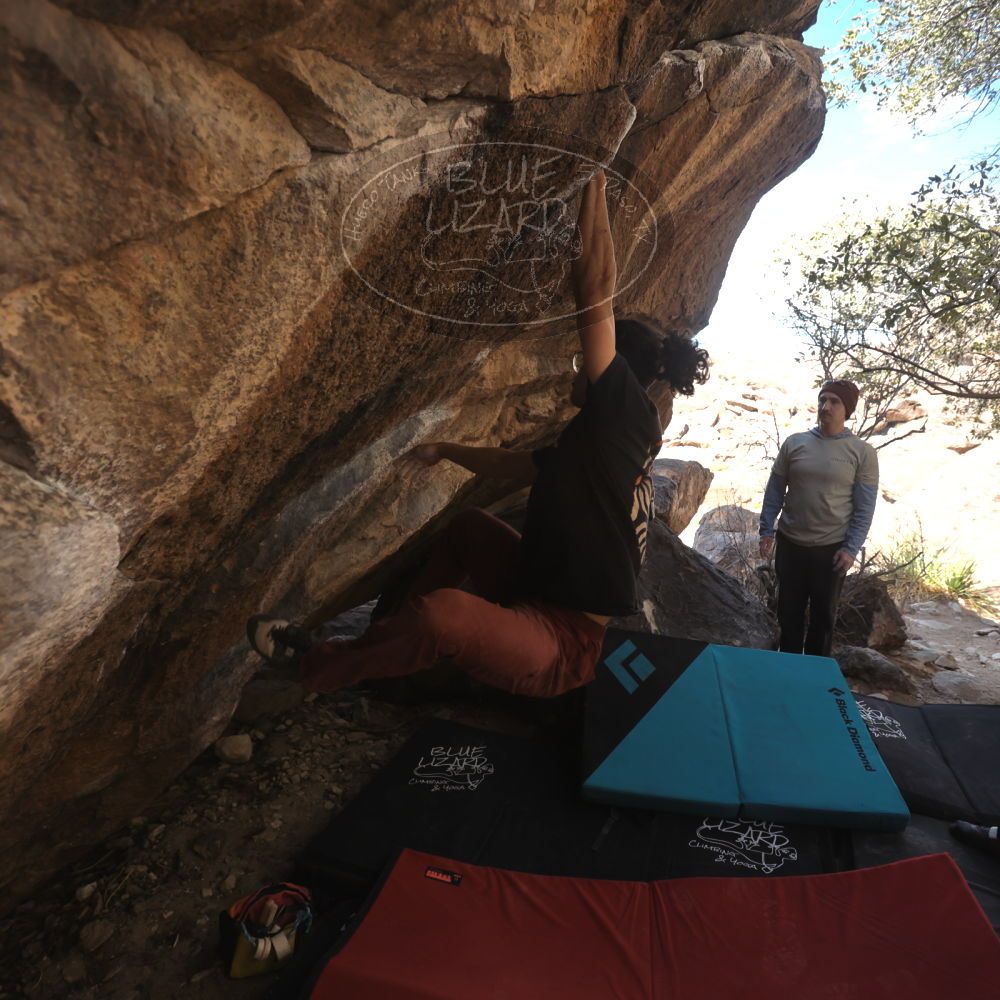 Filename: SRM_20250125_1320595.jpg
Aperture: f/4.0
Shutter Speed: 1/500
Body: Canon EOS R6
Lens: Canon EF 16-35mm f/2.8 L