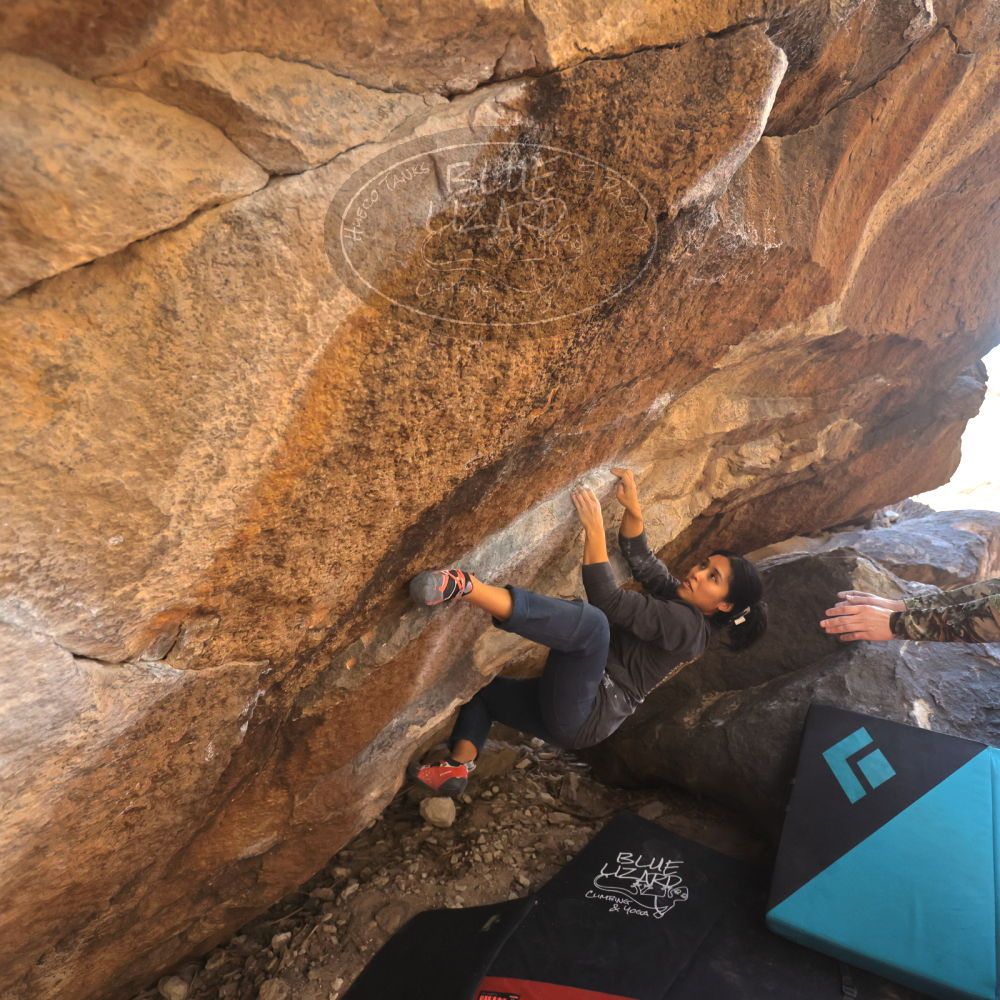 Filename: SRM_20250125_1326470.jpg
Aperture: f/4.0
Shutter Speed: 1/500
Body: Canon EOS R6
Lens: Canon EF 16-35mm f/2.8 L