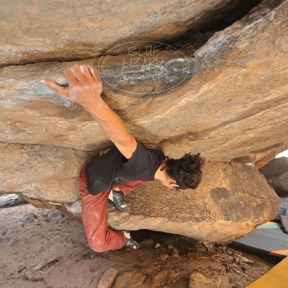 Filename: SRM_20250125_1349530.jpg
Aperture: f/4.0
Shutter Speed: 1/500
Body: Canon EOS R6
Lens: Canon EF 16-35mm f/2.8 L