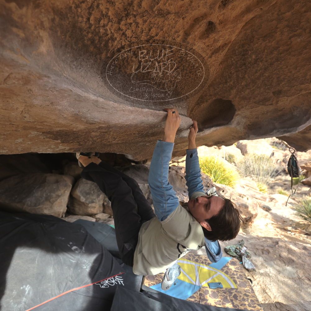 Filename: SRM_20250125_1520010.jpg
Aperture: f/4.0
Shutter Speed: 1/500
Body: Canon EOS R6
Lens: Canon EF 16-35mm f/2.8 L