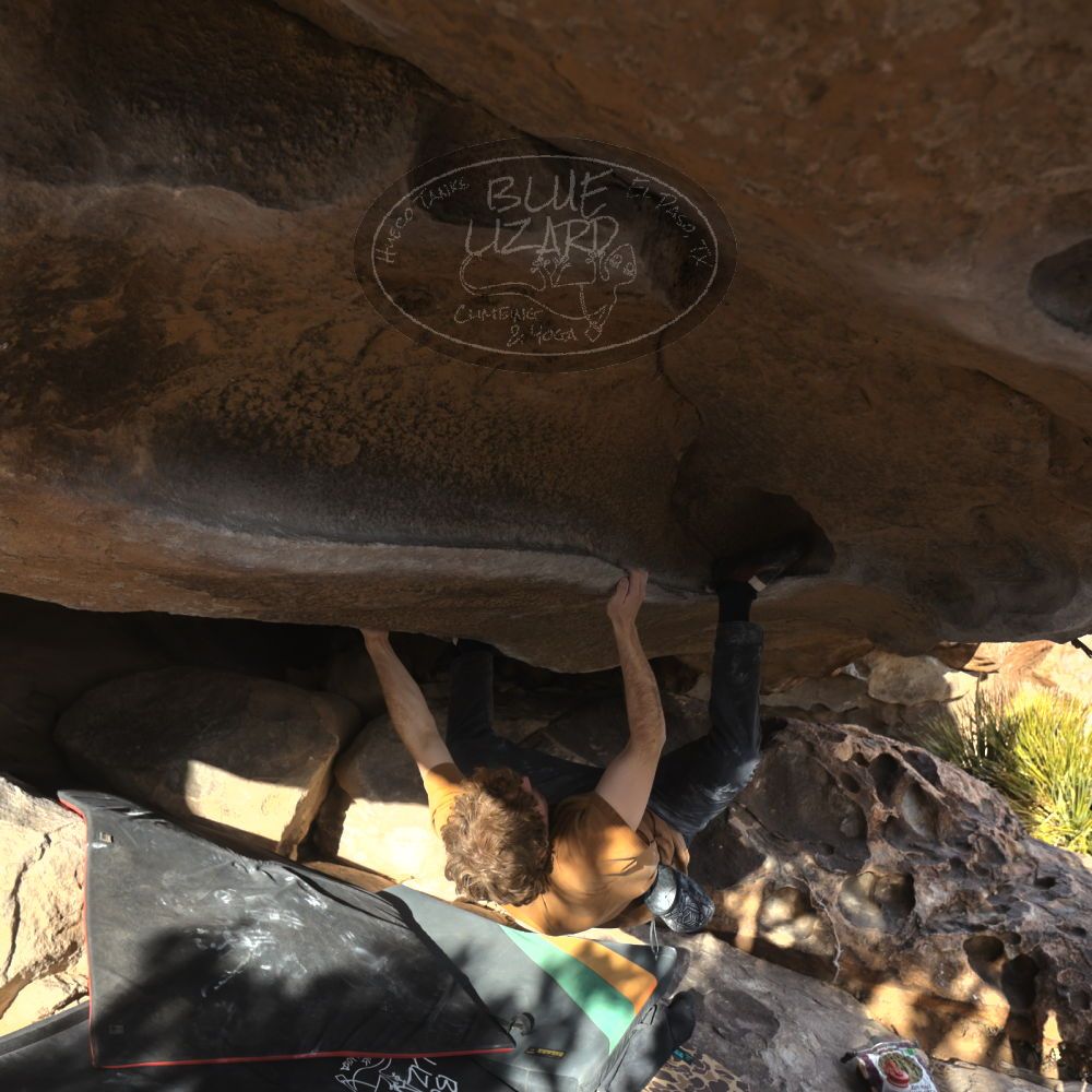 Filename: SRM_20250125_1555170.jpg
Aperture: f/4.0
Shutter Speed: 1/400
Body: Canon EOS R6
Lens: Canon EF 16-35mm f/2.8 L