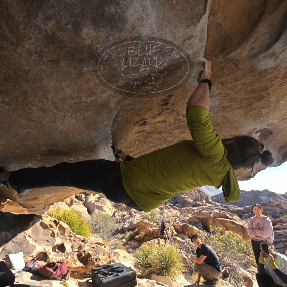 Filename: SRM_20250126_1053500.jpg
Aperture: f/8.0
Shutter Speed: 1/400
Body: Canon EOS R6
Lens: Canon EF 16-35mm f/2.8 L