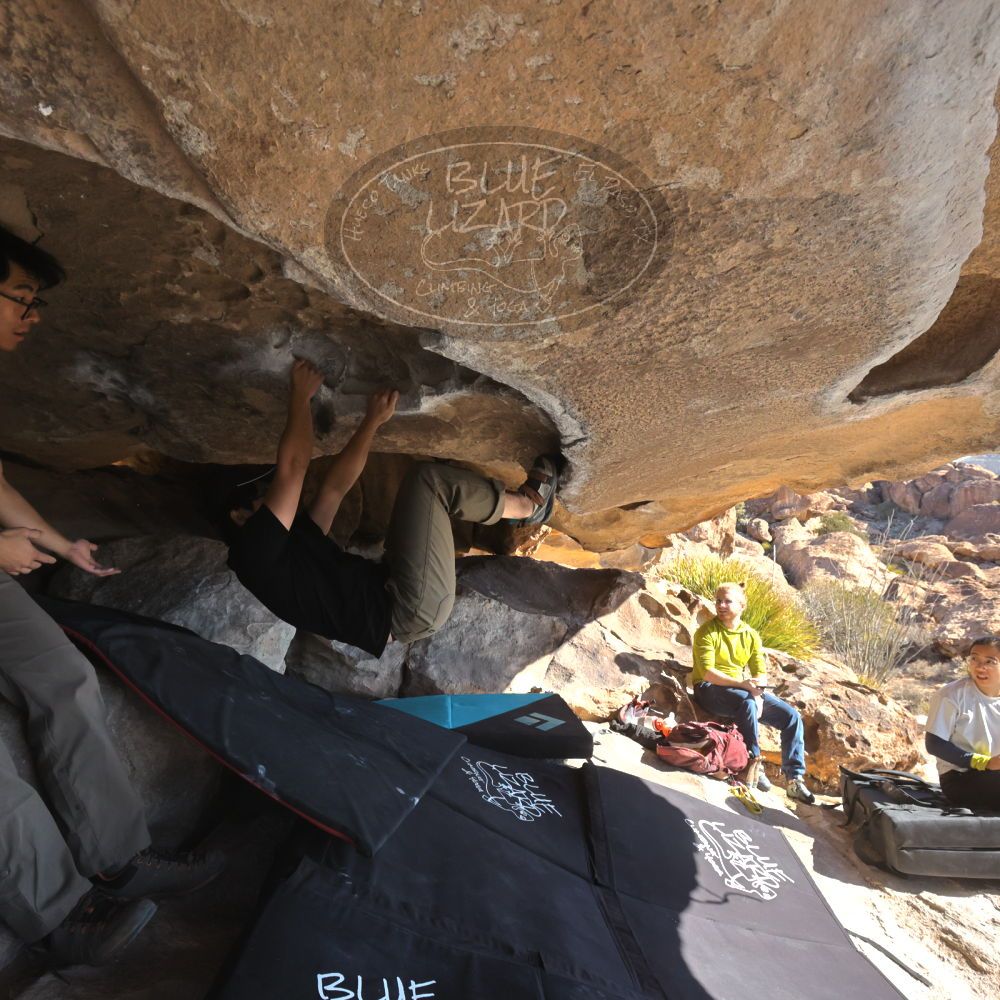 Filename: SRM_20250126_1056300.jpg
Aperture: f/8.0
Shutter Speed: 1/400
Body: Canon EOS R6
Lens: Canon EF 16-35mm f/2.8 L