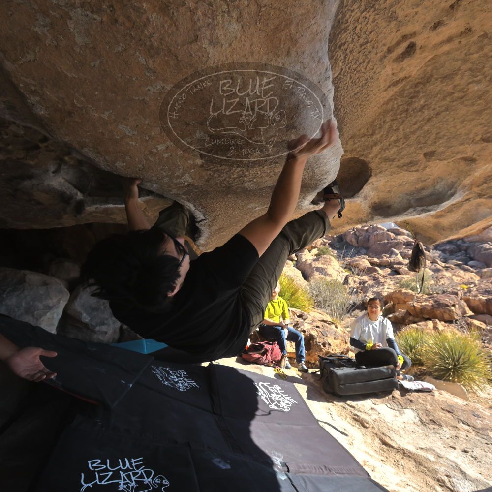 Filename: SRM_20250126_1056440.jpg
Aperture: f/8.0
Shutter Speed: 1/400
Body: Canon EOS R6
Lens: Canon EF 16-35mm f/2.8 L