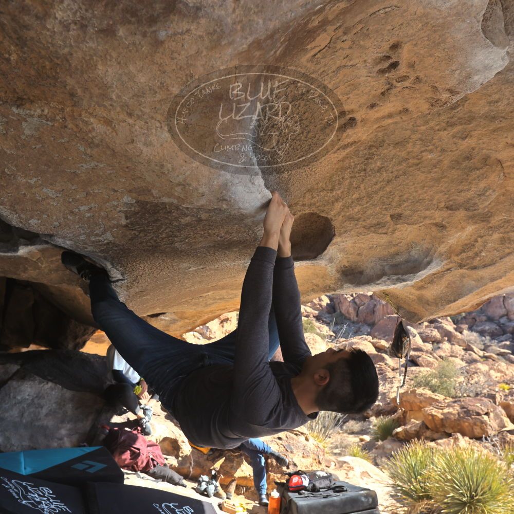 Filename: SRM_20250126_1125140.jpg
Aperture: f/5.6
Shutter Speed: 1/400
Body: Canon EOS R6
Lens: Canon EF 16-35mm f/2.8 L