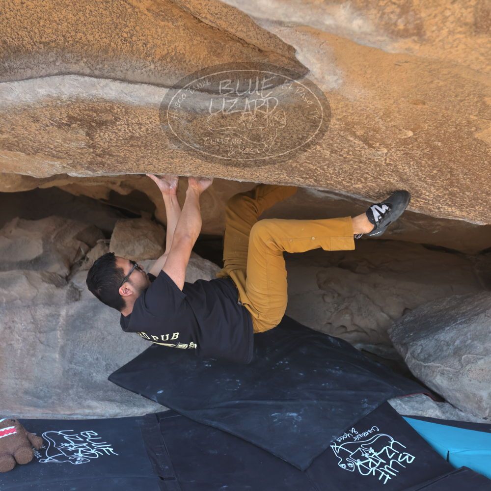 

Filename: SRM_20250126_1203160.jpg
Aperture: f/3.5
Shutter Speed: 1/400
Body: Canon EOS R6
Lens: Canon EF 16-35mm f/2.8 L