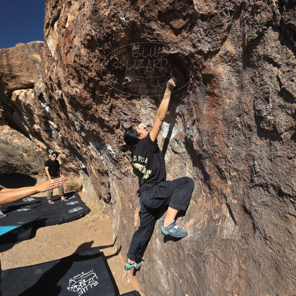 

Filename: SRM_20250126_1342360.jpg
Aperture: f/5.6
Shutter Speed: 1/800
Body: Canon EOS R6
Lens: Canon EF 16-35mm f/2.8 L