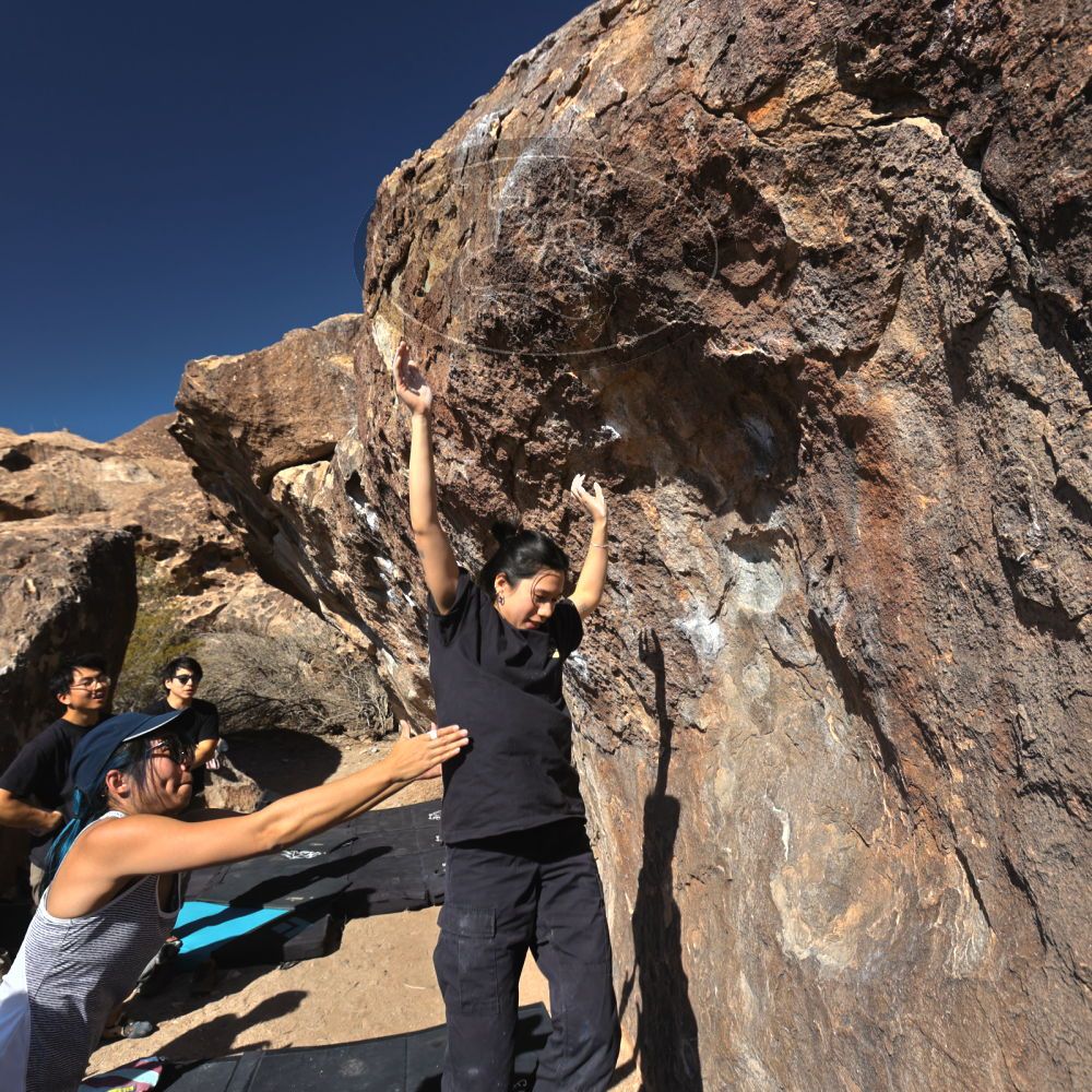 Filename: SRM_20250126_1342560.jpg
Aperture: f/5.6
Shutter Speed: 1/800
Body: Canon EOS R6
Lens: Canon EF 16-35mm f/2.8 L