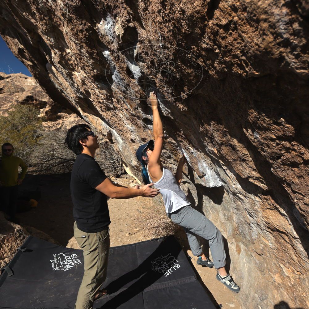 

Filename: SRM_20250126_1405080.jpg
Aperture: f/5.6
Shutter Speed: 1/800
Body: Canon EOS R6
Lens: Canon EF 16-35mm f/2.8 L