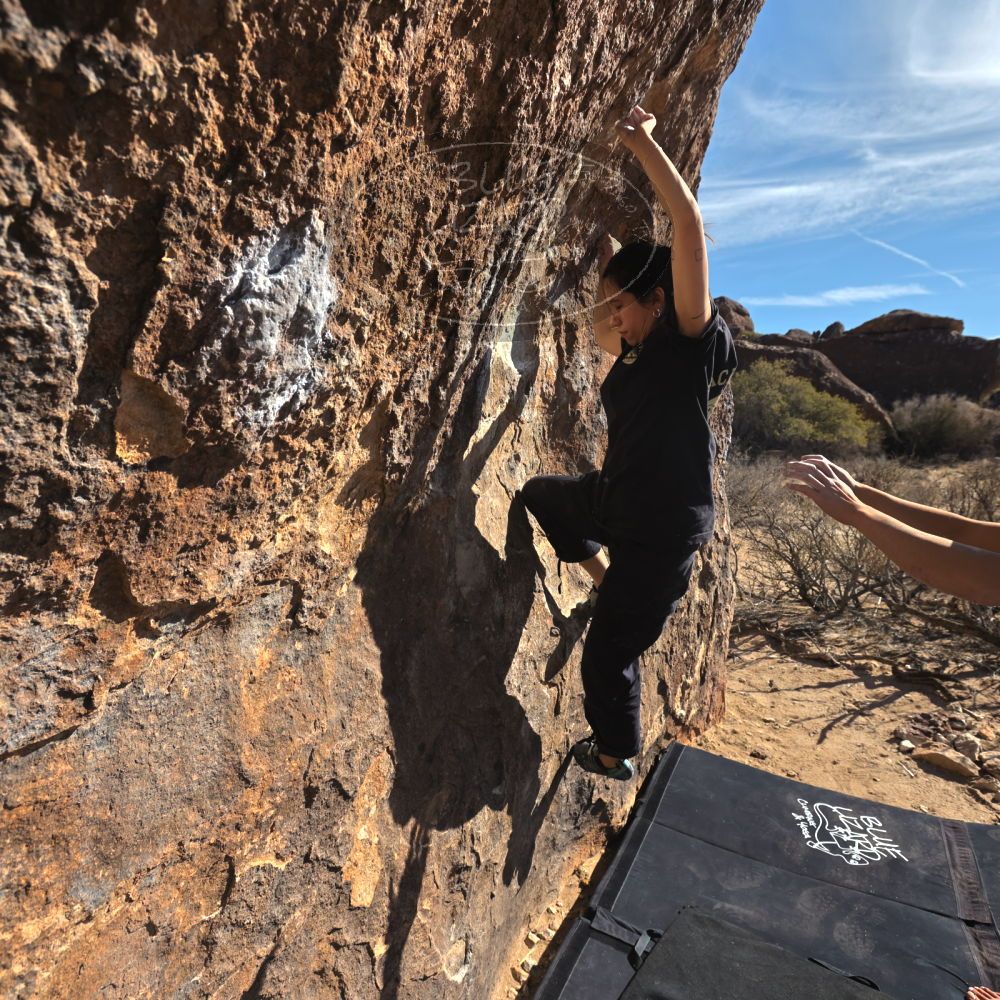 Filename: SRM_20250126_1405270.jpg
Aperture: f/5.6
Shutter Speed: 1/800
Body: Canon EOS R6
Lens: Canon EF 16-35mm f/2.8 L