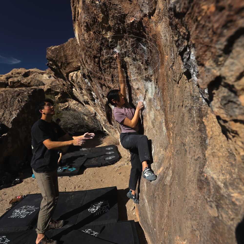 Filename: SRM_20250126_1440340.jpg
Aperture: f/5.6
Shutter Speed: 1/800
Body: Canon EOS R6
Lens: Canon EF 16-35mm f/2.8 L