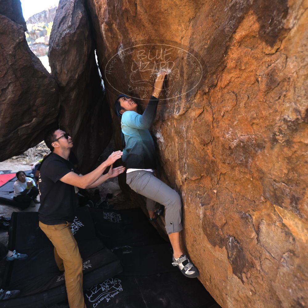 Filename: SRM_20250126_1612310.jpg
Aperture: f/4.0
Shutter Speed: 1/400
Body: Canon EOS R6
Lens: Canon EF 16-35mm f/2.8 L