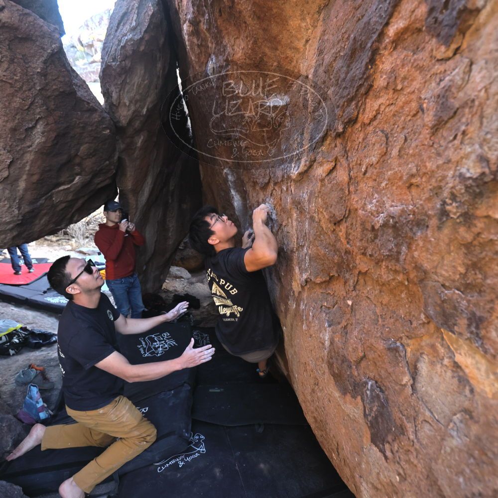 Filename: SRM_20250126_1622130.jpg
Aperture: f/4.0
Shutter Speed: 1/400
Body: Canon EOS R6
Lens: Canon EF 16-35mm f/2.8 L