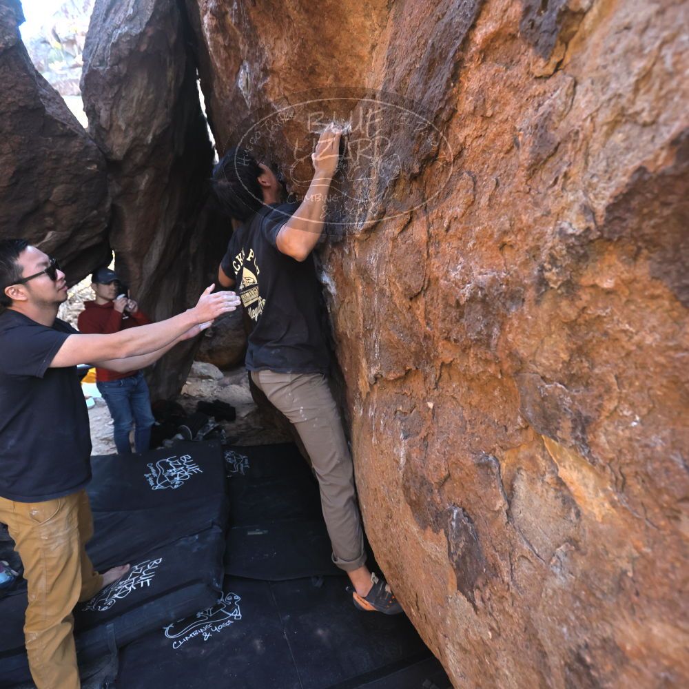 Filename: SRM_20250126_1622190.jpg
Aperture: f/4.0
Shutter Speed: 1/400
Body: Canon EOS R6
Lens: Canon EF 16-35mm f/2.8 L