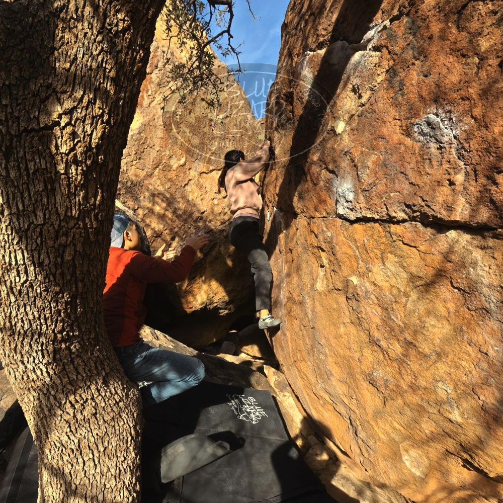 Filename: SRM_20250126_1643040.jpg
Aperture: f/8.0
Shutter Speed: 1/500
Body: Canon EOS R6
Lens: Canon EF 16-35mm f/2.8 L