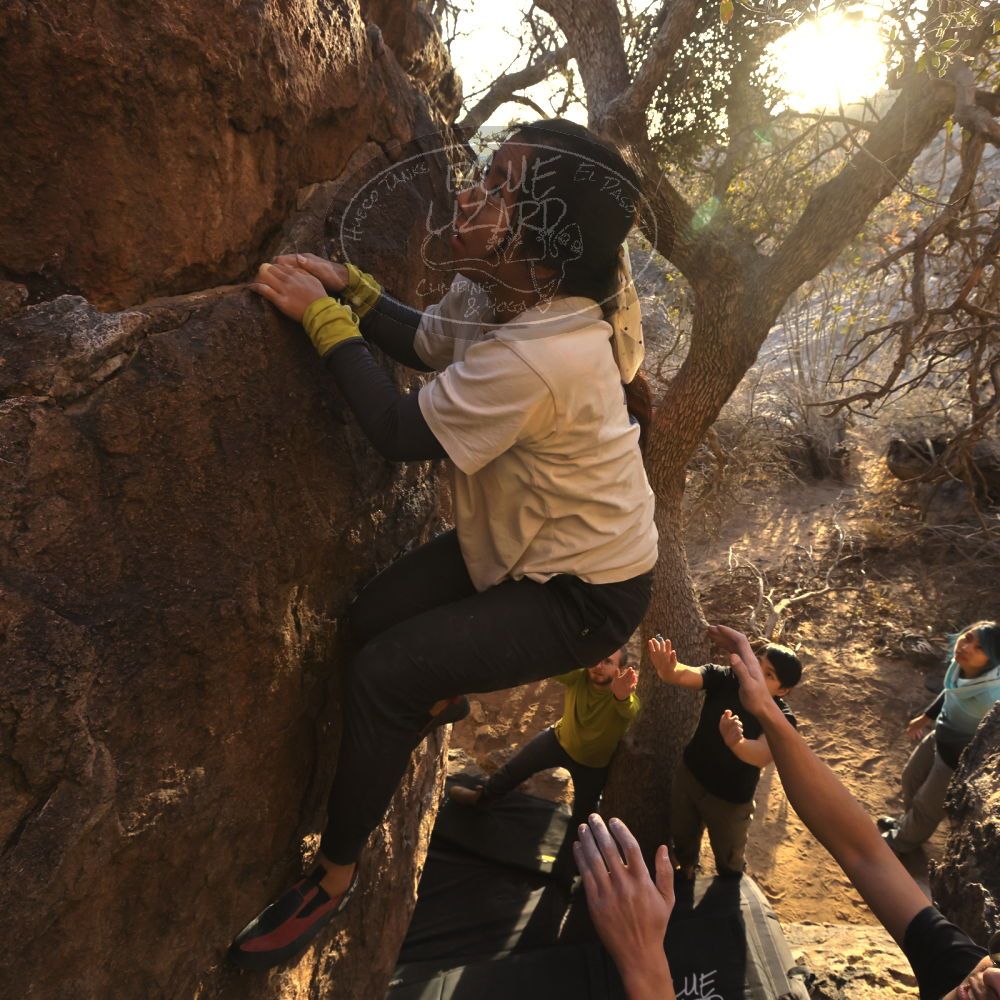 

Filename: SRM_20250126_1658360.jpg
Aperture: f/8.0
Shutter Speed: 1/500
Body: Canon EOS R6
Lens: Canon EF 16-35mm f/2.8 L