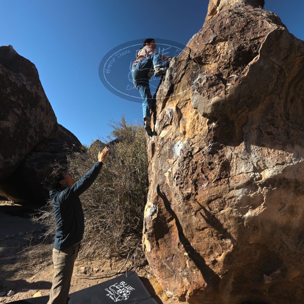 Filename: SRM_20250129_0936260.jpg
Aperture: f/8.0
Shutter Speed: 1/400
Body: Canon EOS R6
Lens: Canon EF 16-35mm f/2.8 L