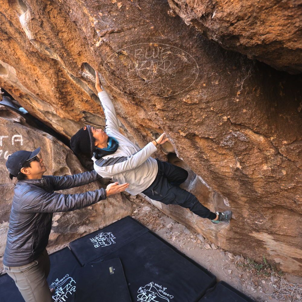 Filename: SRM_20250129_1006160.jpg
Aperture: f/4.0
Shutter Speed: 1/400
Body: Canon EOS R6
Lens: Canon EF 16-35mm f/2.8 L