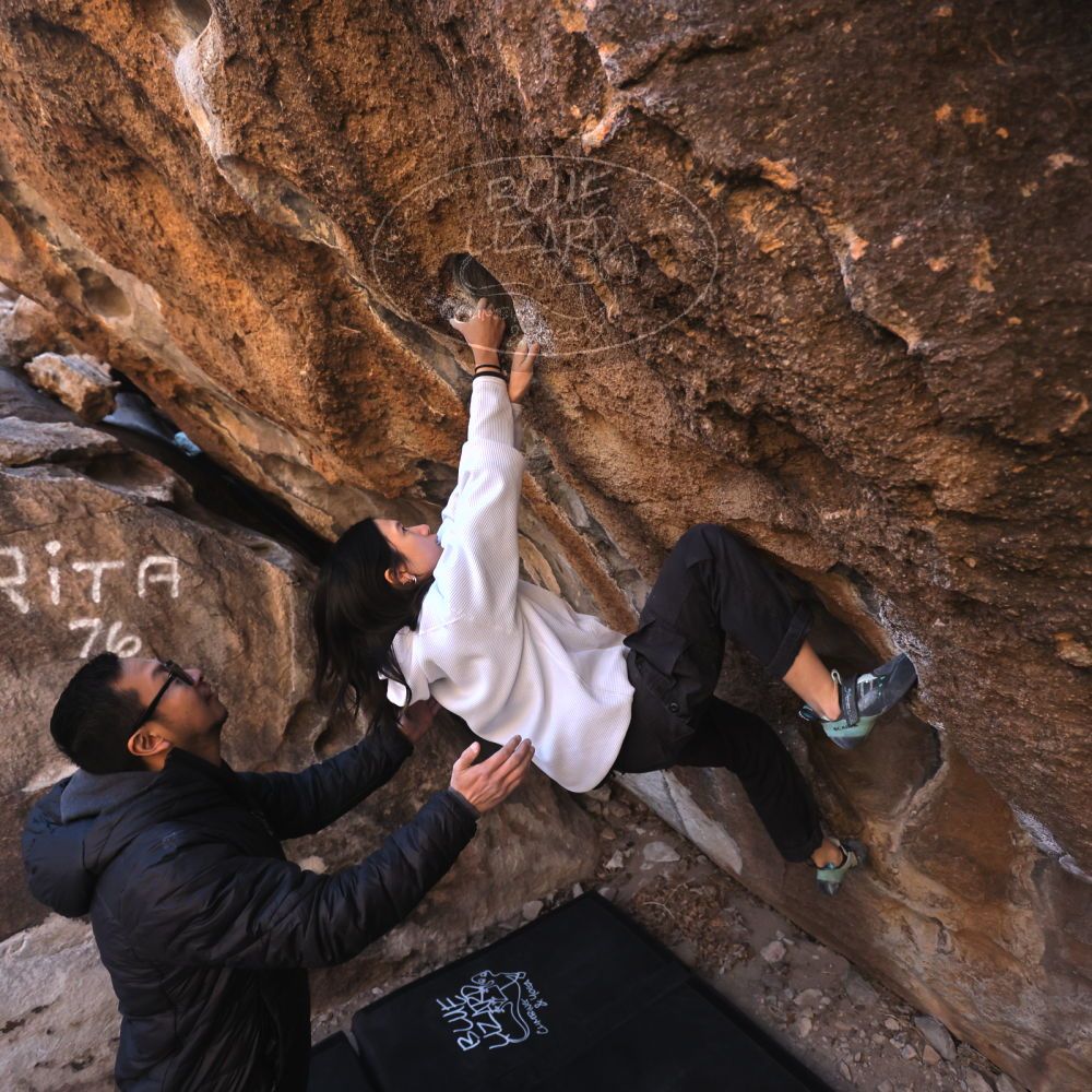 Filename: SRM_20250129_1009420.jpg
Aperture: f/4.0
Shutter Speed: 1/400
Body: Canon EOS R6
Lens: Canon EF 16-35mm f/2.8 L