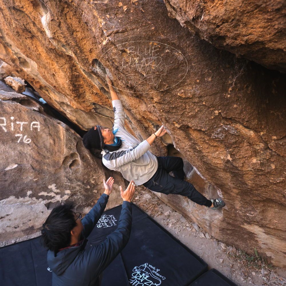 Filename: SRM_20250129_1011320.jpg
Aperture: f/4.0
Shutter Speed: 1/400
Body: Canon EOS R6
Lens: Canon EF 16-35mm f/2.8 L