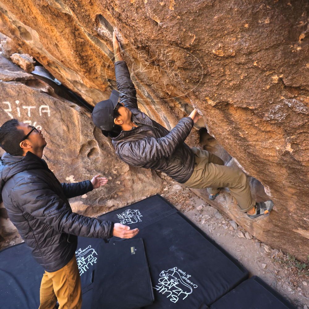 Filename: SRM_20250129_1021300.jpg
Aperture: f/4.0
Shutter Speed: 1/400
Body: Canon EOS R6
Lens: Canon EF 16-35mm f/2.8 L