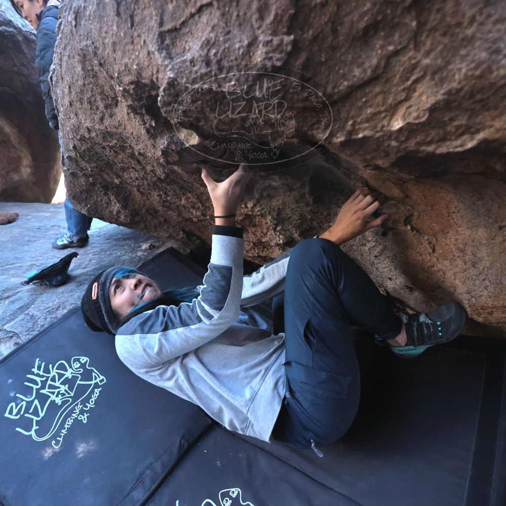 Filename: SRM_20250129_1227500.jpg
Aperture: f/4.0
Shutter Speed: 1/400
Body: Canon EOS R6
Lens: Canon EF 16-35mm f/2.8 L