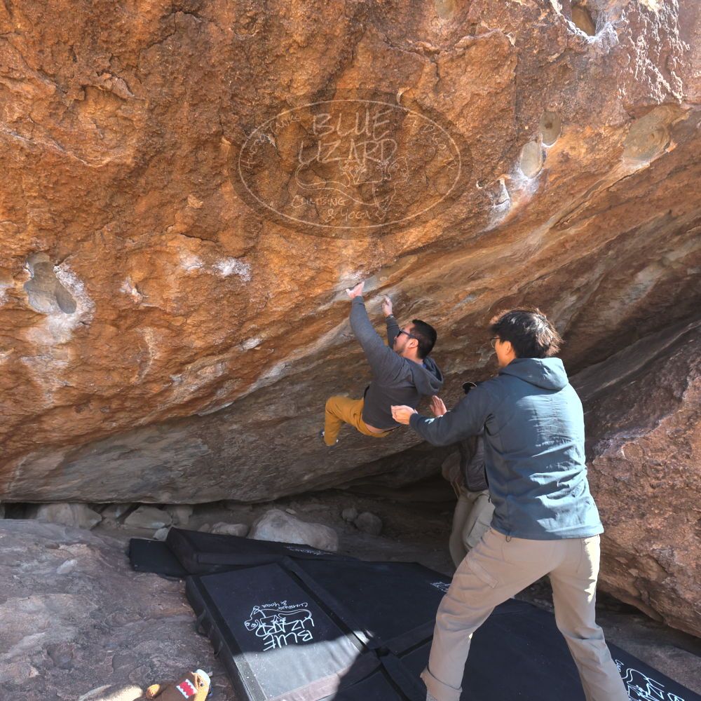 

Filename: SRM_20250129_1349570.jpg
Aperture: f/5.6
Shutter Speed: 1/400
Body: Canon EOS R6
Lens: Canon EF 16-35mm f/2.8 L