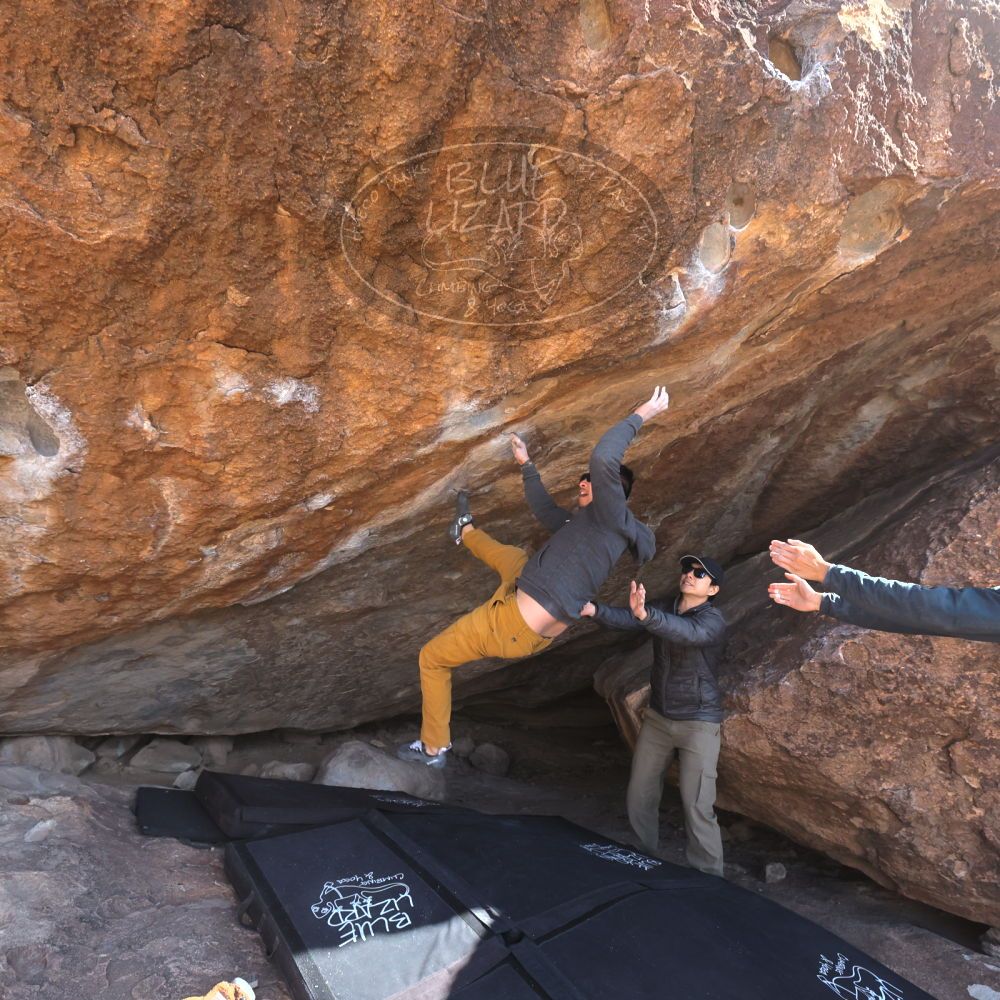 Filename: SRM_20250129_1350051.jpg
Aperture: f/5.6
Shutter Speed: 1/400
Body: Canon EOS R6
Lens: Canon EF 16-35mm f/2.8 L