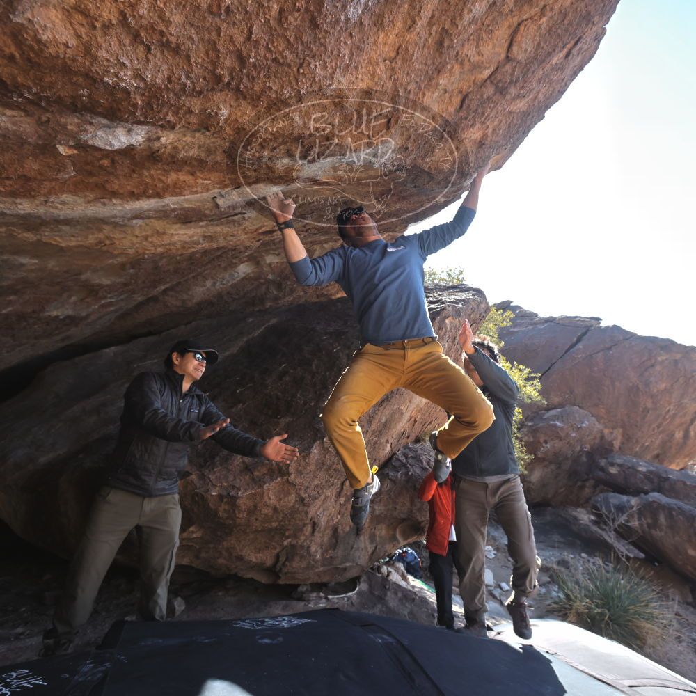 Filename: SRM_20250129_1414283.jpg
Aperture: f/5.6
Shutter Speed: 1/400
Body: Canon EOS R6
Lens: Canon EF 16-35mm f/2.8 L