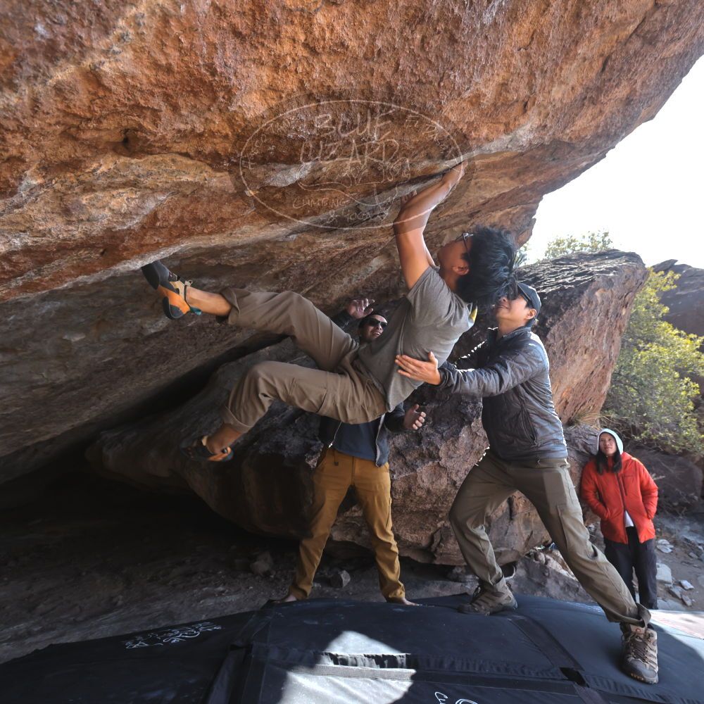 

Filename: SRM_20250129_1422030.jpg
Aperture: f/5.6
Shutter Speed: 1/400
Body: Canon EOS R6
Lens: Canon EF 16-35mm f/2.8 L