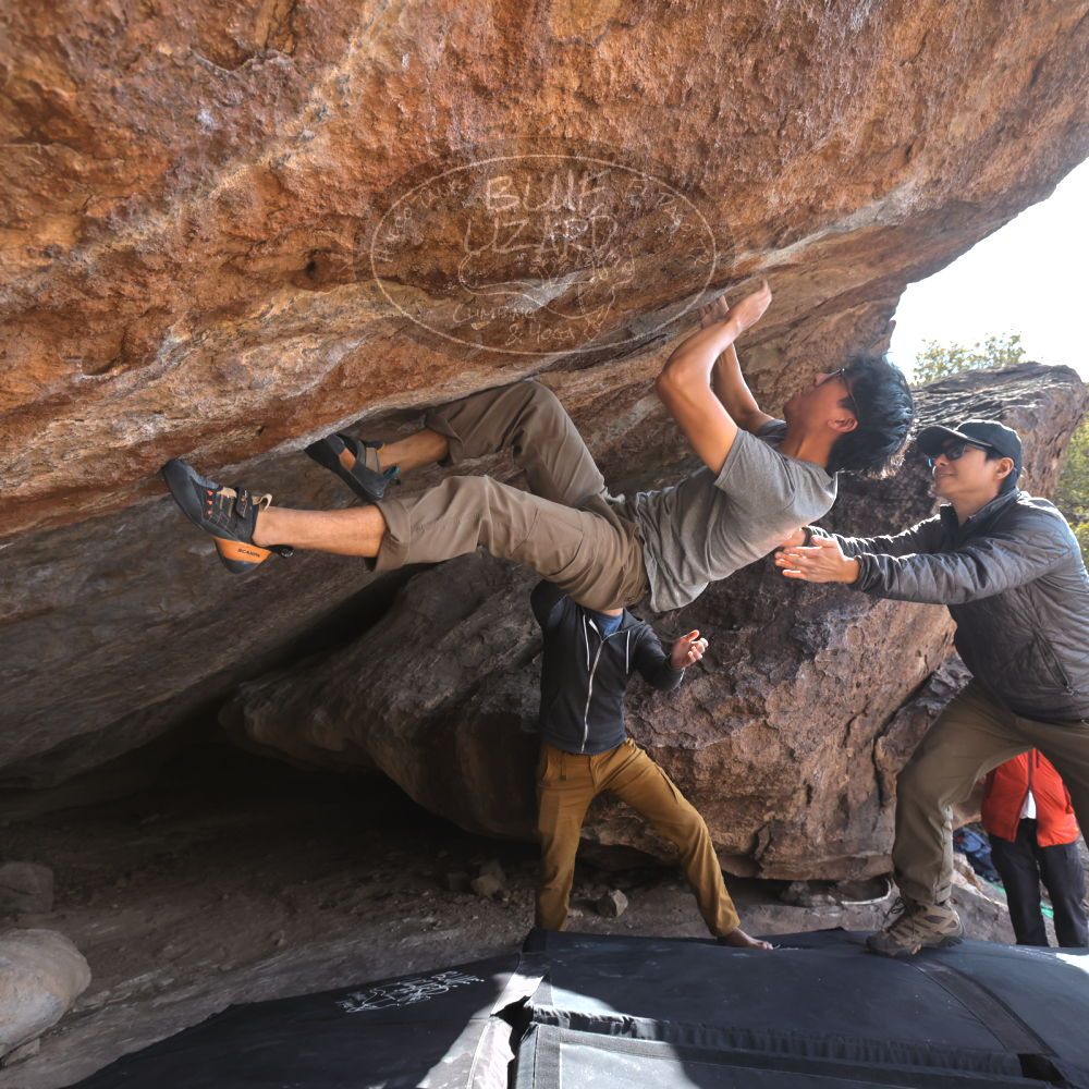 Filename: SRM_20250129_1434410.jpg
Aperture: f/5.6
Shutter Speed: 1/400
Body: Canon EOS R6
Lens: Canon EF 16-35mm f/2.8 L